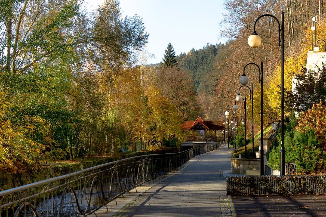 Apartament Polaniczanka Polanica-Zdroj Bagian luar foto