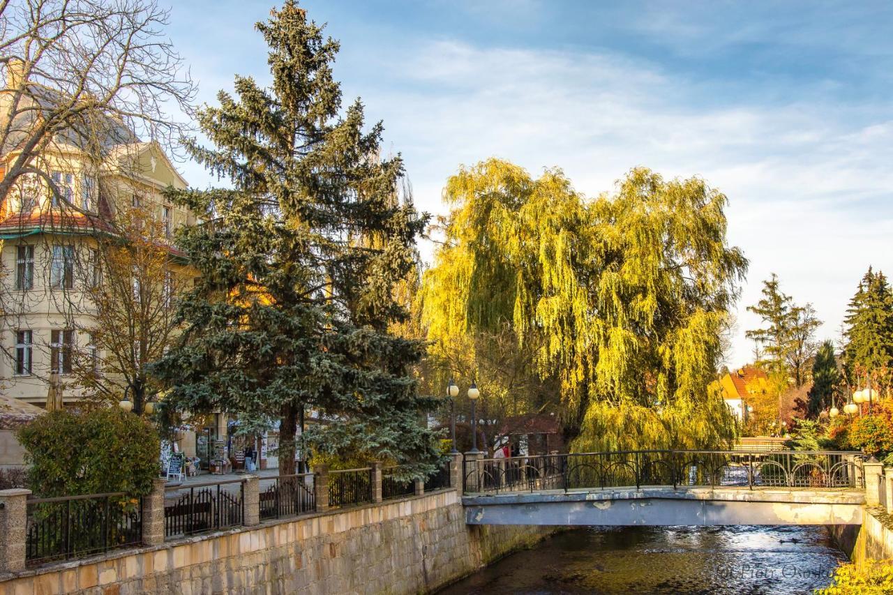 Apartament Polaniczanka Polanica-Zdroj Bagian luar foto